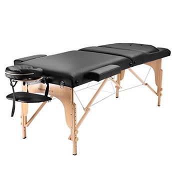 Saloniture Professional Portable Massage Table with Backrest B00Q554JZQ